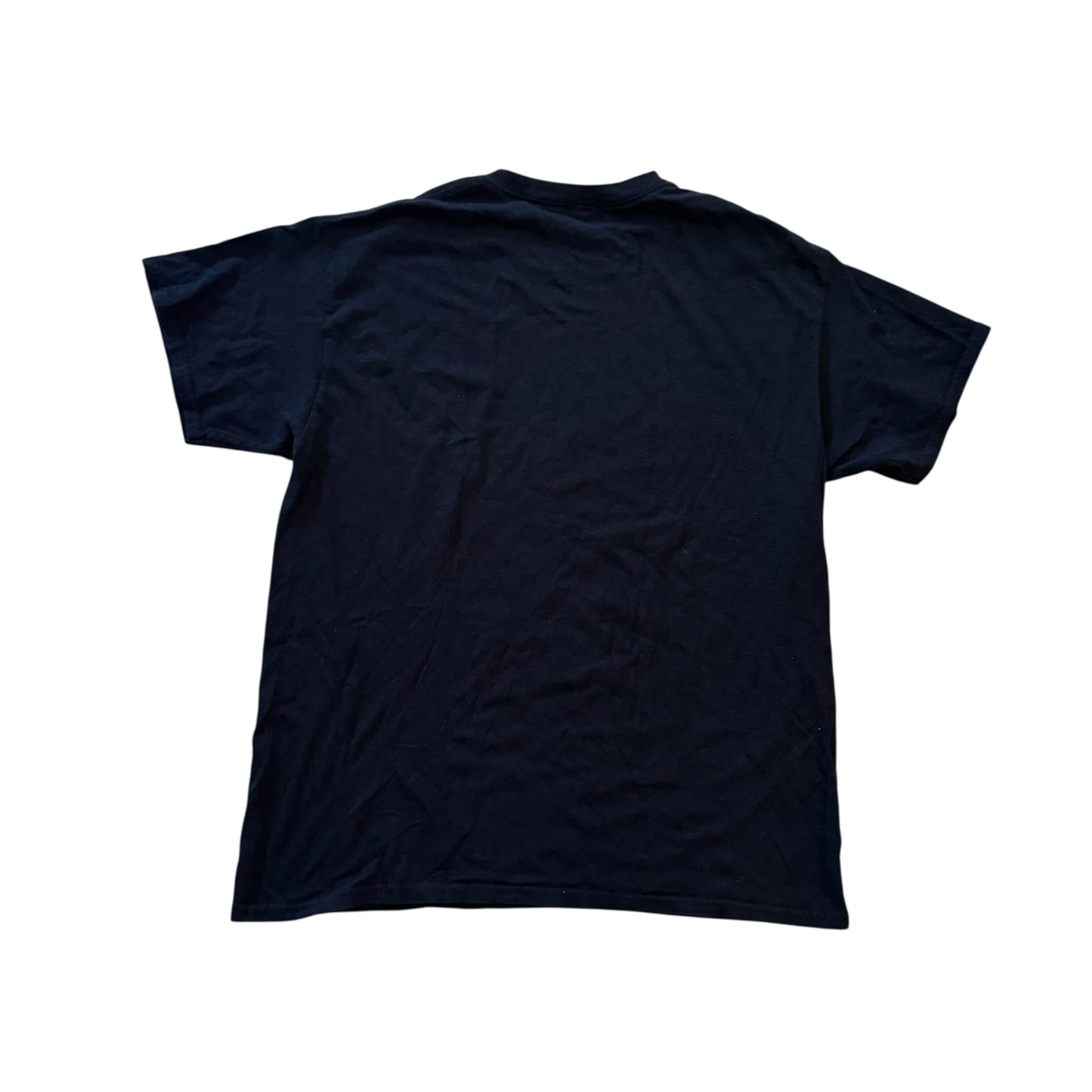 Phoebe Bridgers T-Shirt (Large)