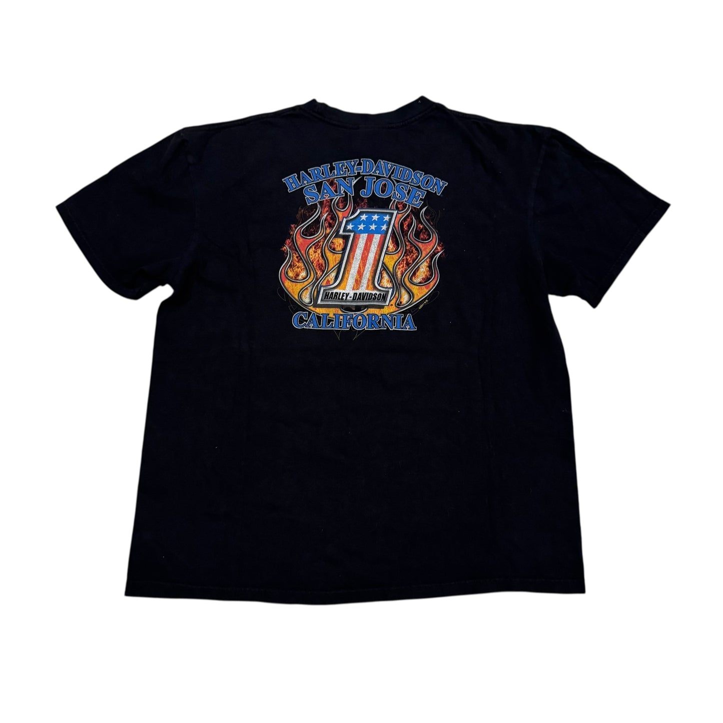 Harley Davidson Two Wheels To Move The Soul T-Shirt 2000s (Large)