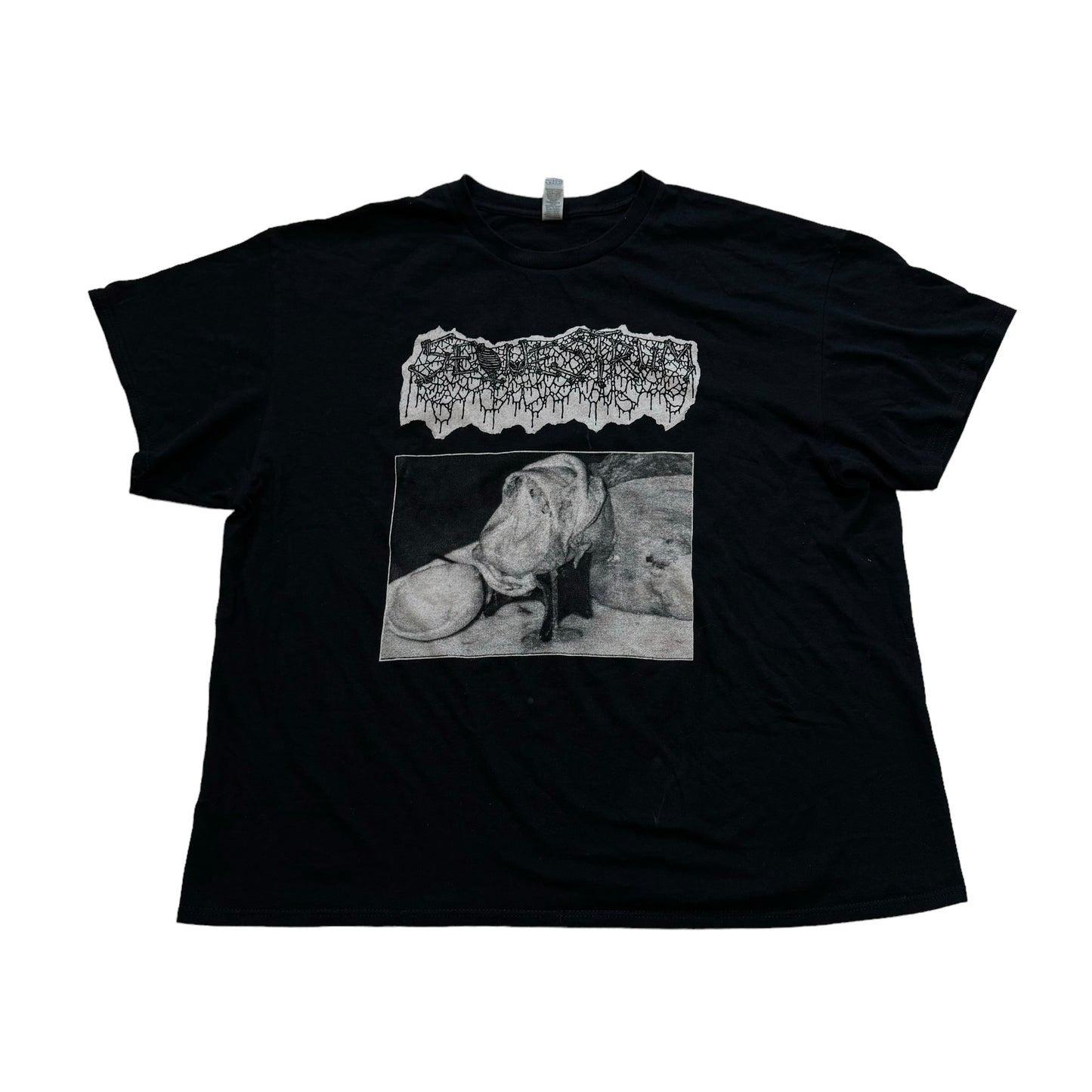 Sequestrum Pickled Perversion T-Shirt (XL)
