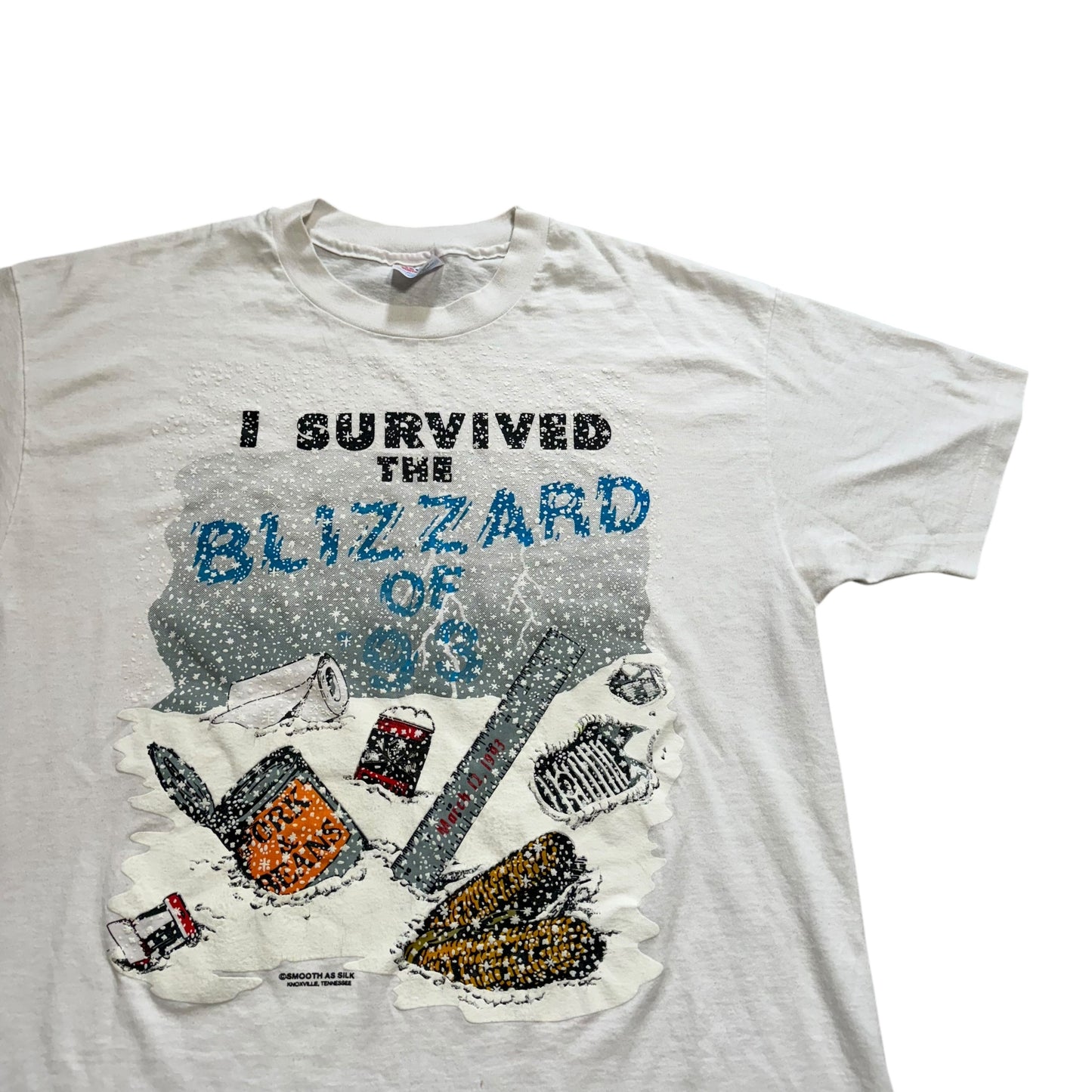 I Survived The Blizzard Of 1993 T-Shirt (XL)