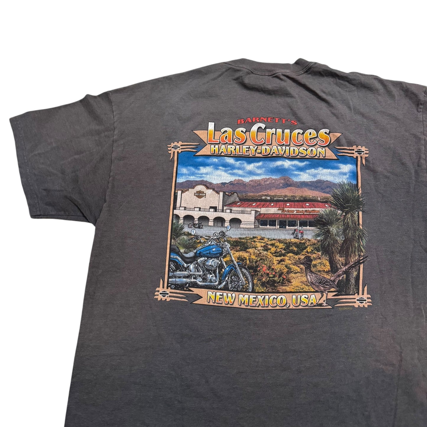 Harley Davidson New Mexico T-Shirt 2000s (XL)