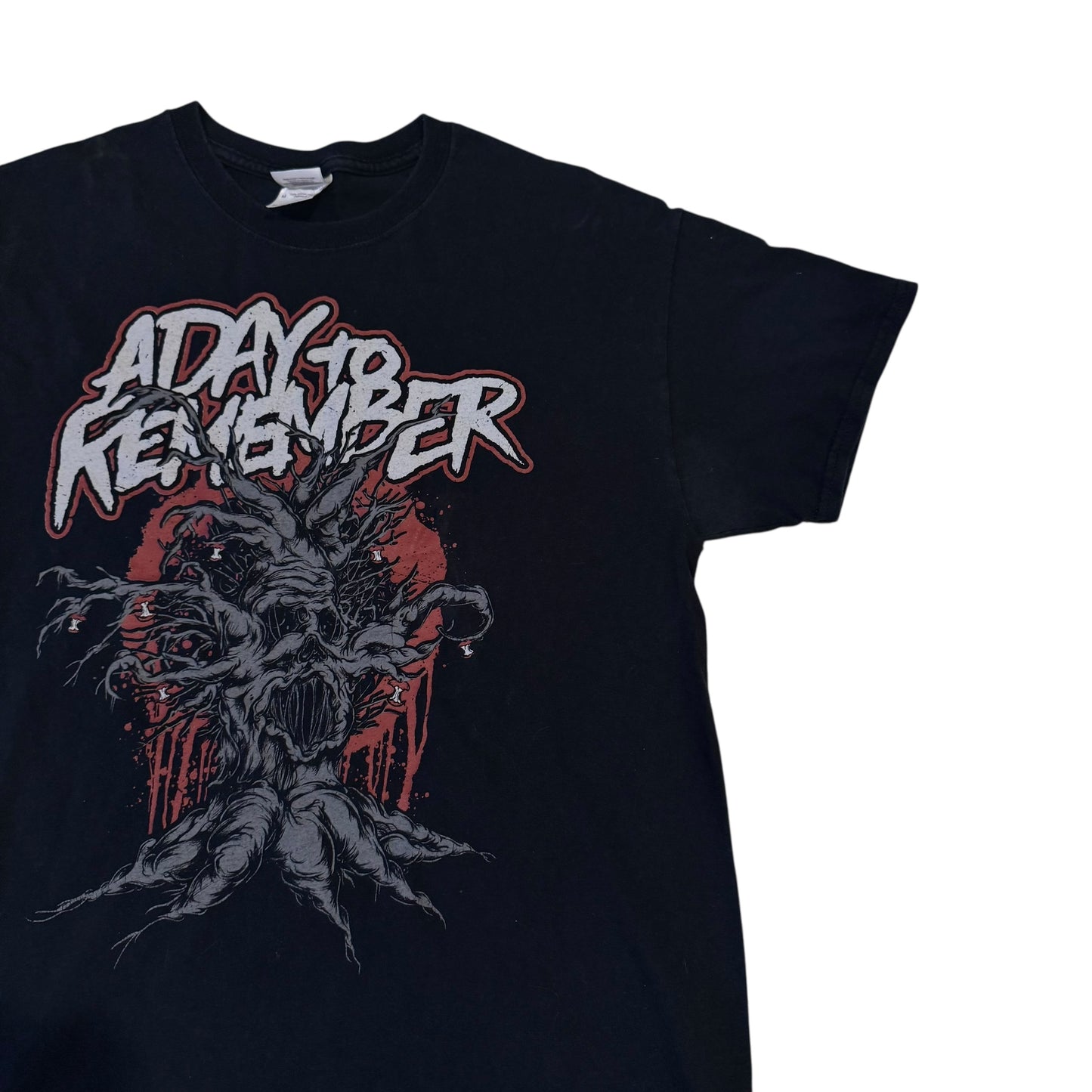 A Day To Remember You Killed What Was Left… T-Shirt 2010s (Medium)