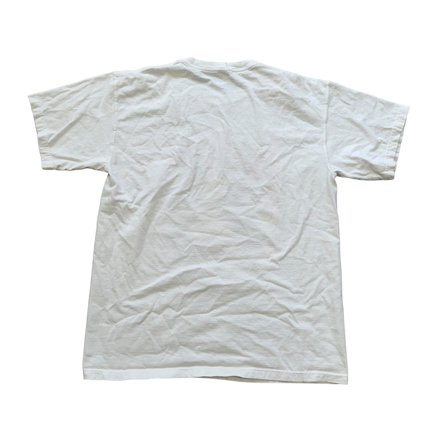 Lil Wayne Delta Zeta T-Shirt (XL)