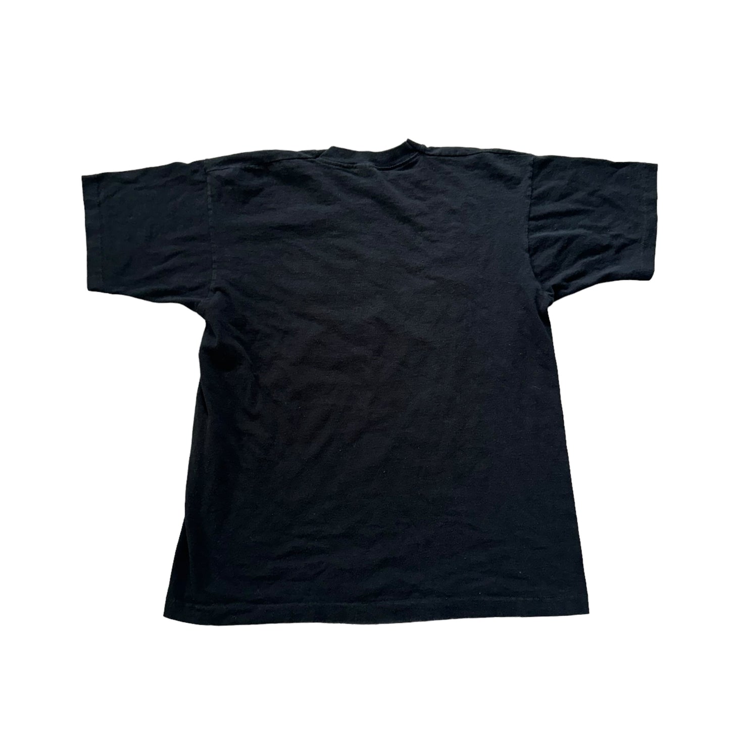 Canyon Ranch T-Shirt 90s (Large)