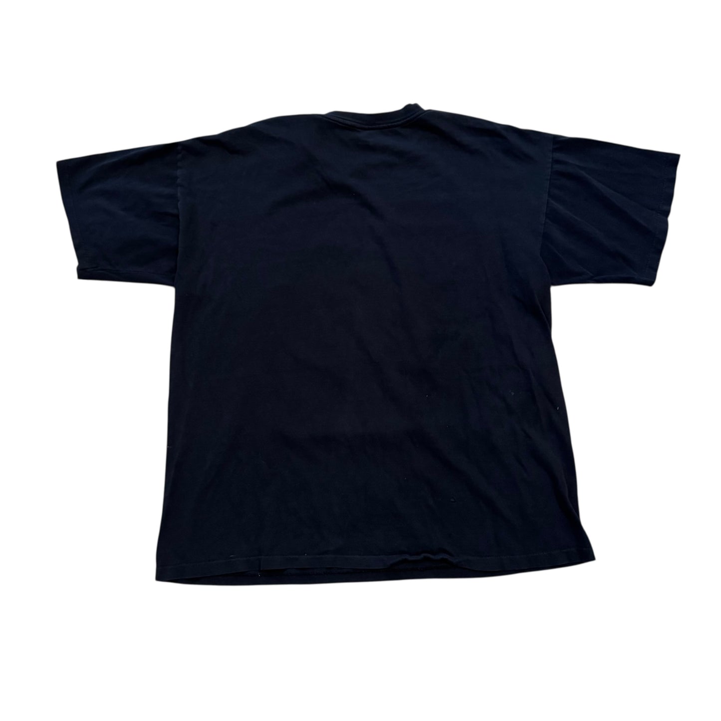 Minnesota Vikings Division Champs T-Shirt 90s (XL) [ REAL SHOPPER EXCLUSIVE ]