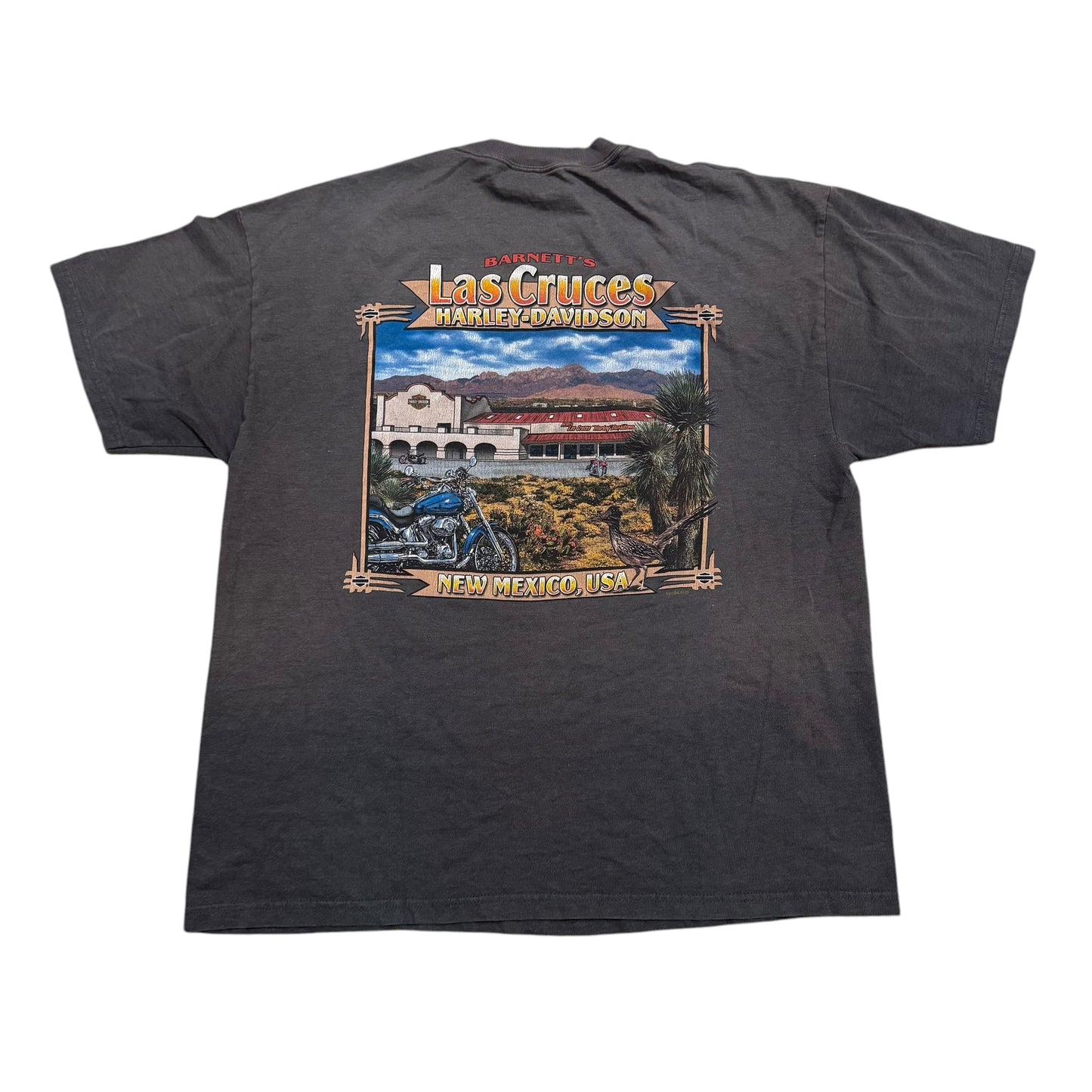 Harley Davidson New Mexico T-Shirt 2000s (XL)