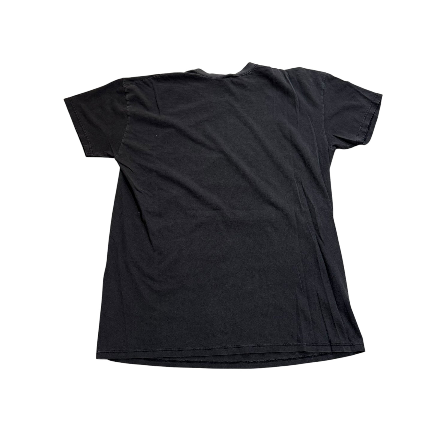 All Men Are Created Equal THRASHED T-Shirt (Long XL) PERSONALS COLLECTION