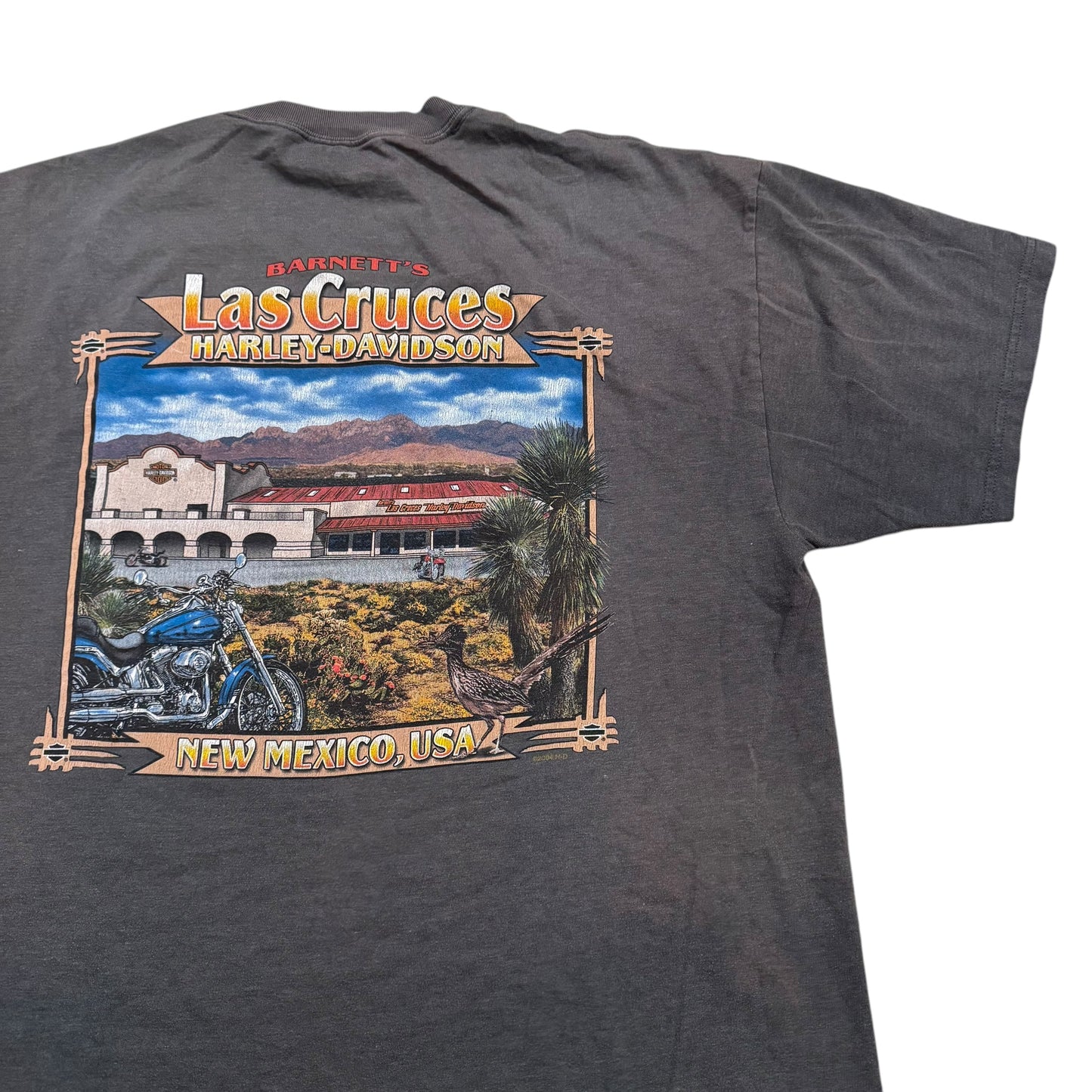 Harley Davidson New Mexico T-Shirt 2000s (XL)