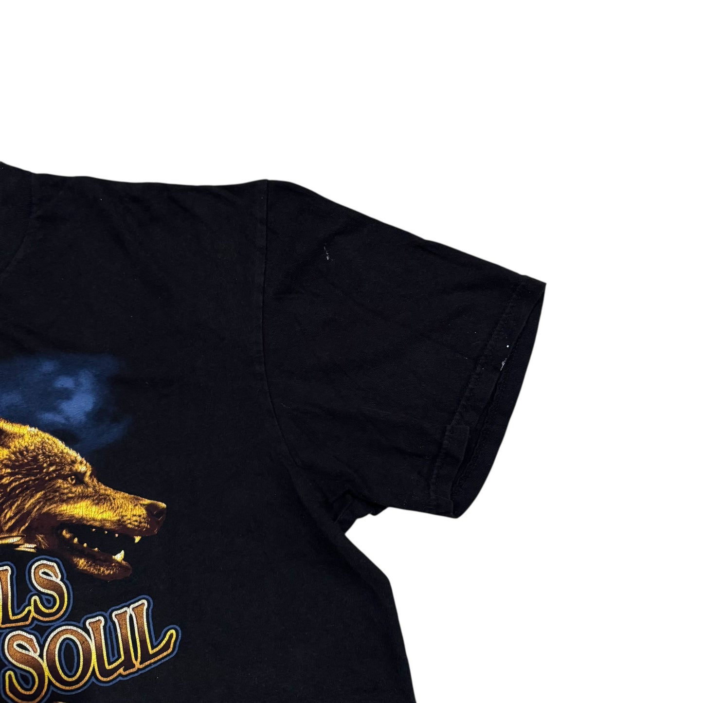 Harley Davidson Two Wheels To Move The Soul T-Shirt 2000s (Large)