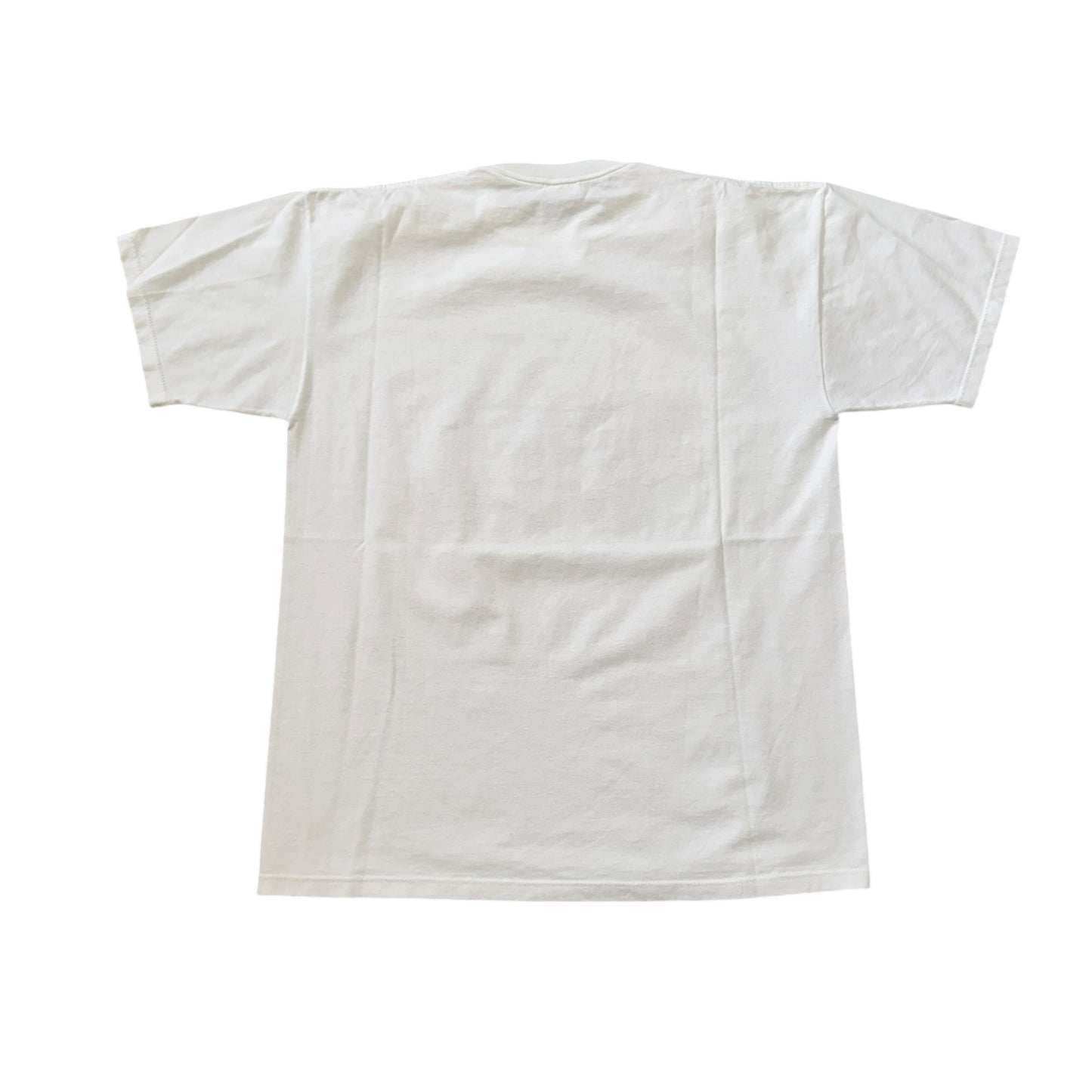 Historic North Dakota T-Shirt 2000s (XL) [ REAL SHOPPER EXCLUSIVE ]