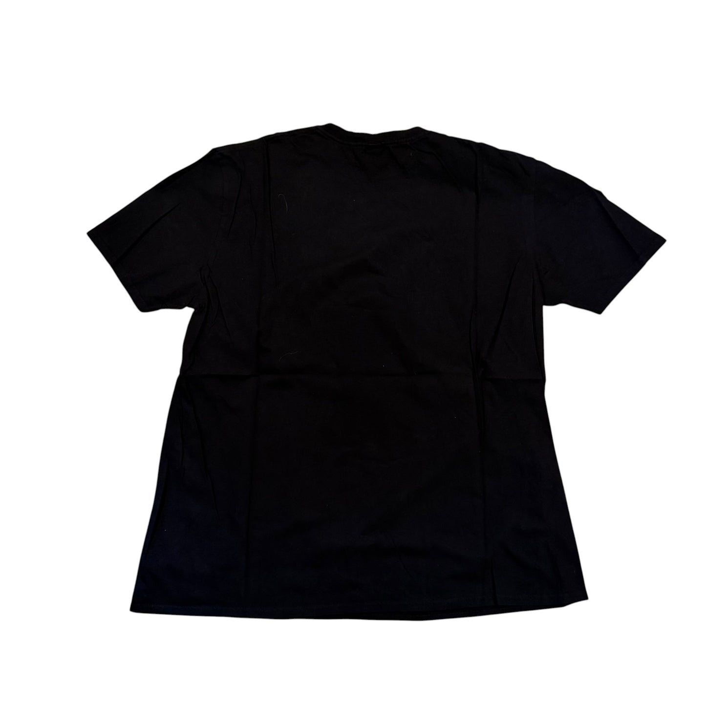 Morrissey Riot Fest T-Shirt 2021 (XL) PERSONALS COLLECTION