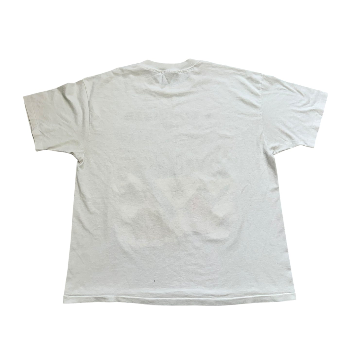 I Survived The Blizzard Of 1993 T-Shirt (XL)