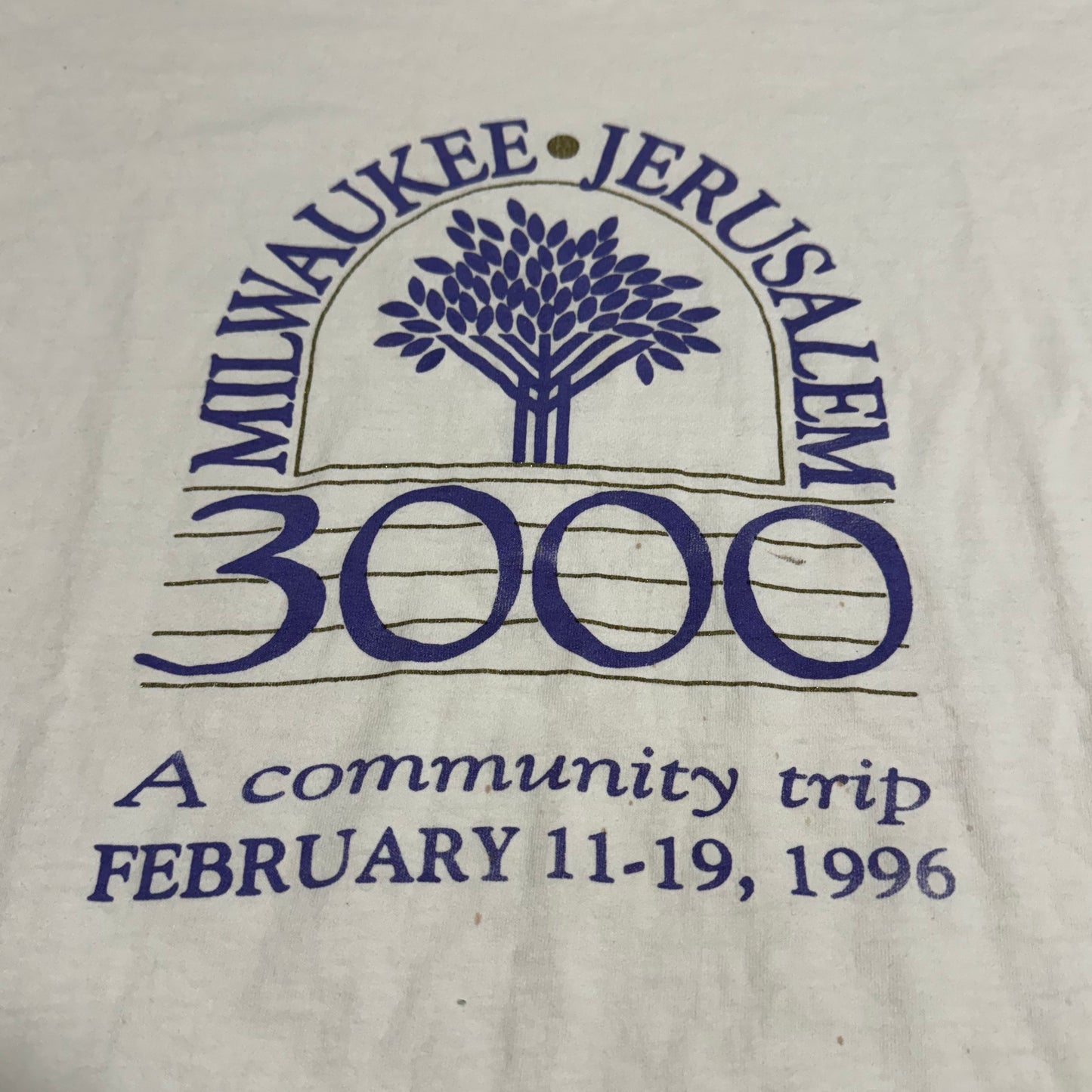 Milwaukee Jerusalem T-Shirt 90s (XL)