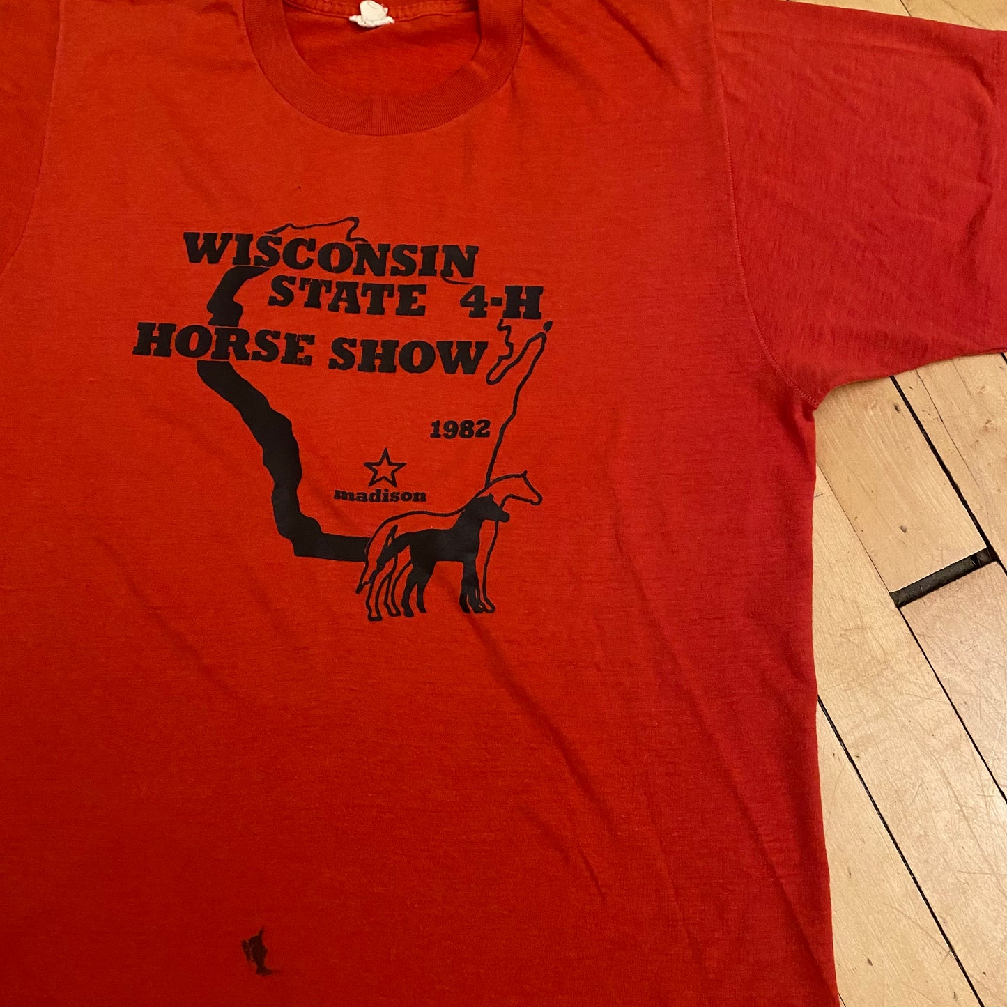 Wisconsin State Horse Show T-Shirt 80s (Large)